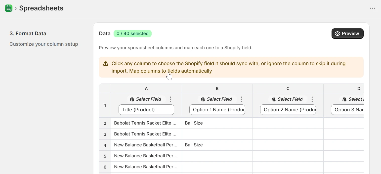 Format Data step showing the Map columns to fields automatically link above the column preview